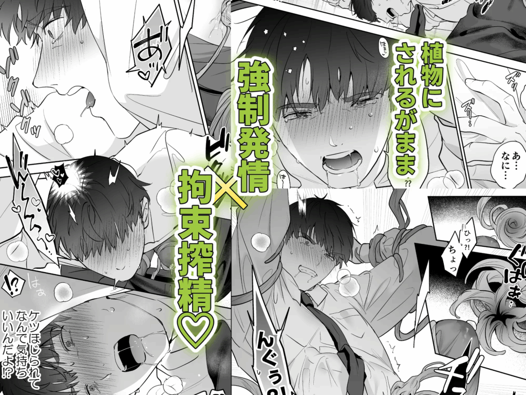 おすすめ,エロ漫画,BL,ボーイズラブ,純愛,BL漫画,女性向け