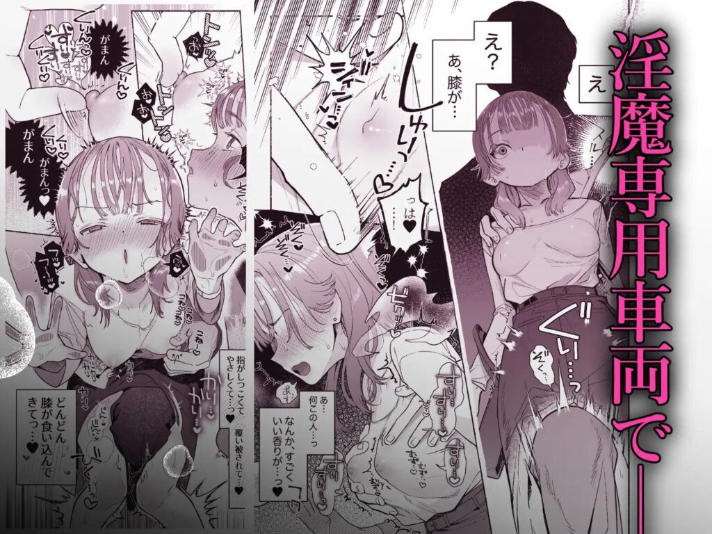 淫魔専用車両 玩具痴幹線 ～急行ホテルイき～,たまランド,同人誌,エロ,クリ責め,痴漢,乳首責め,DLサイト