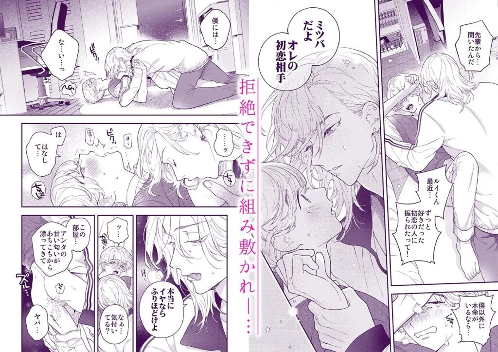 BL,純愛,ゲイ,エロ漫画,エロマンガ,おすすめ