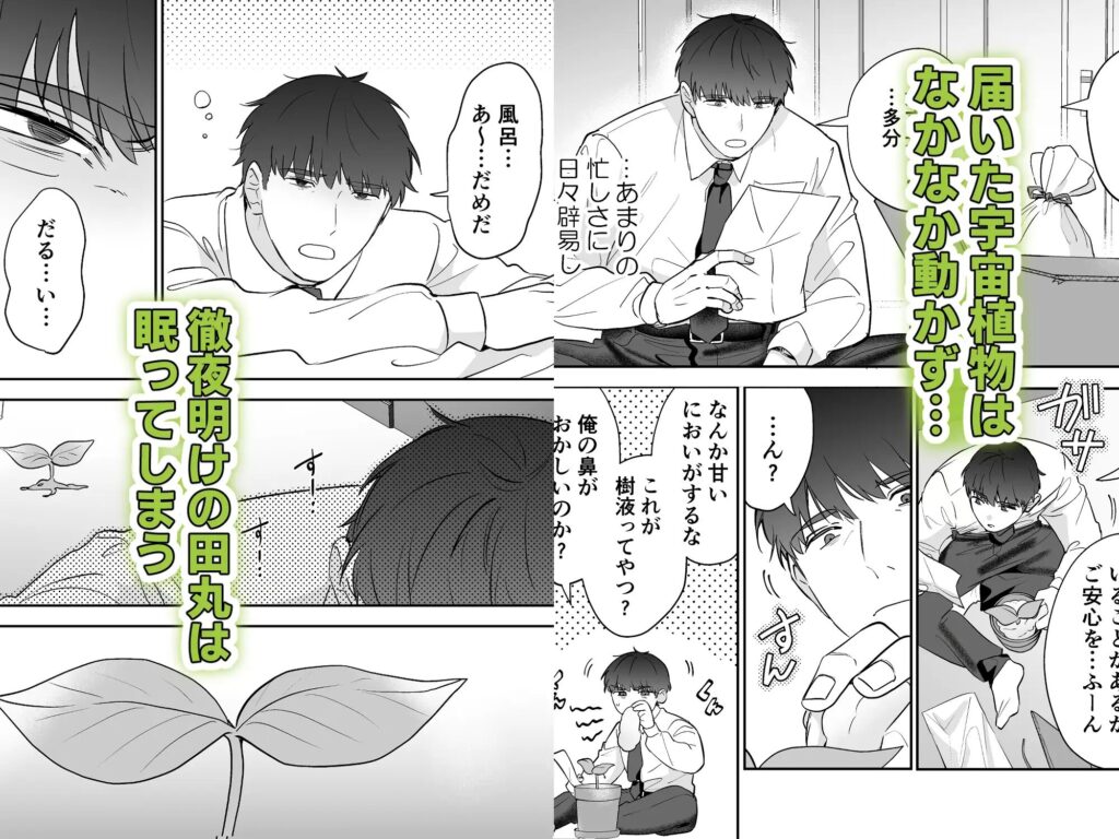 触手,BL,ゲイ,ボーイズラブ,エロ漫画,BL漫画,BLエロ漫画,おすすめ